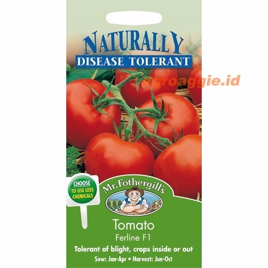 Benih Tan. Mr. Fothergill's TOMATO Ferline F1