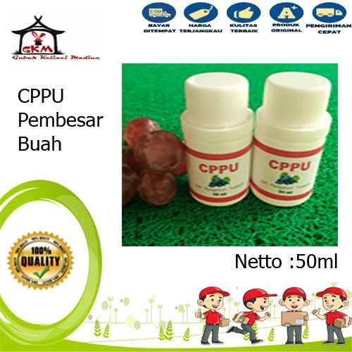 Hormon CPPU 50ML Pembesar Buah