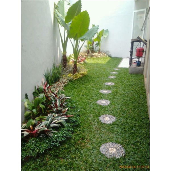 Taman Minimalis - Jasa Pembuatan Taman - Tukang Taman Minimalis