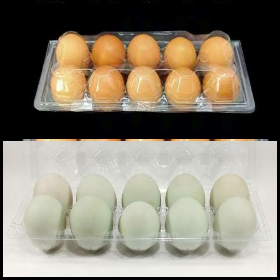 Jual Tray Telur Mika Tray Telur Egg Tray Isi Butir Shopee