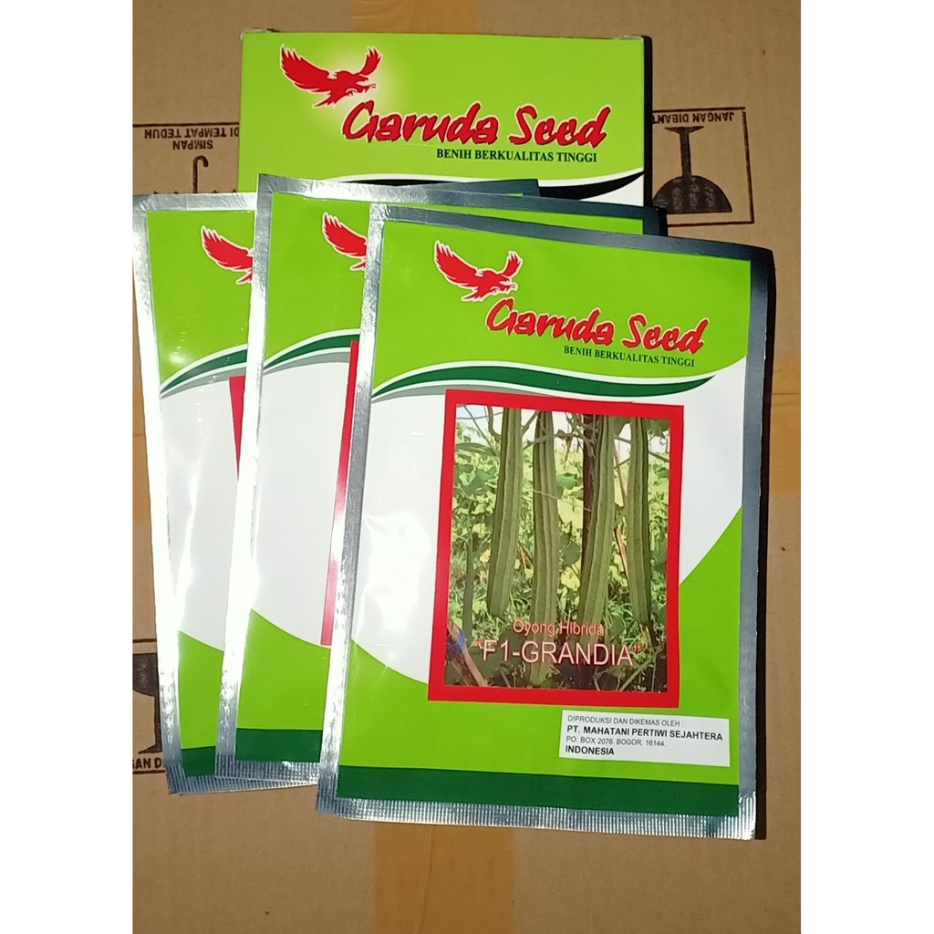 Benih / Bibit Oyong/Gambas hibrida "F-1 GRANDIA" 10gr Garuda Seed