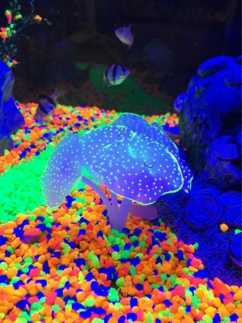 hiasan aquarium tanaman coral menyala efek cahaya - dekorasi air artifisial