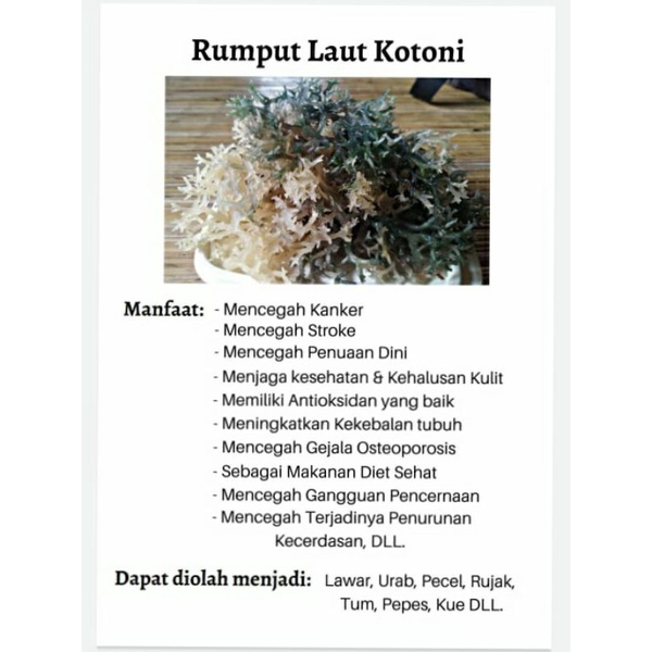 

Rumput Laut BIKIN SEHAT TUBUH.