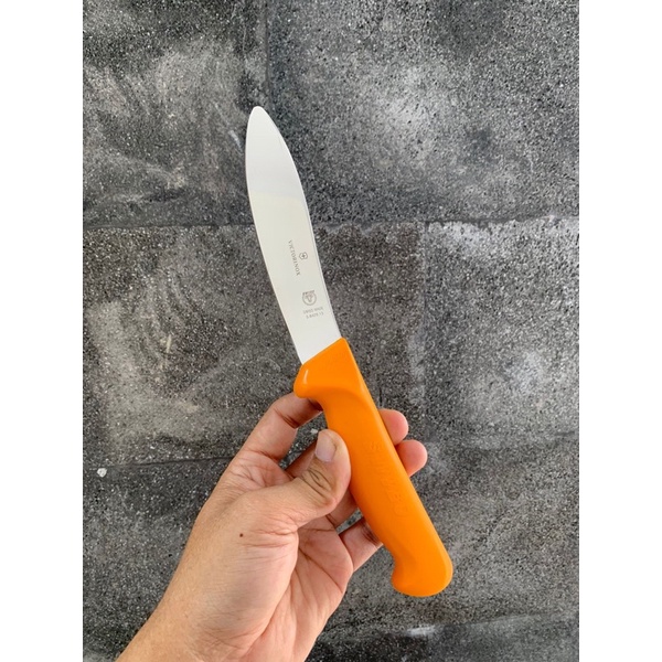 Victorinox swibo lamb skinning knife 13 cm yellow kode 5.8429.13