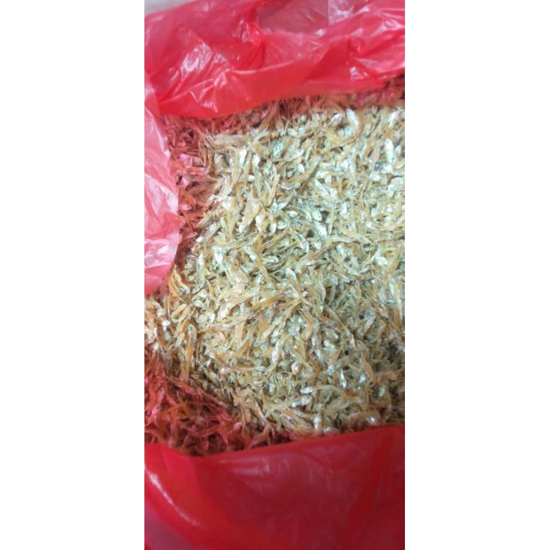 

teri keriting kering
