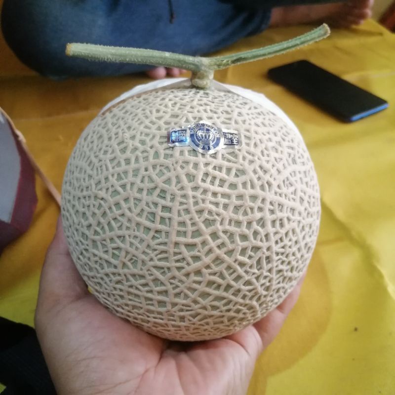 

Melon Musk Crown | Musk Emperor Shizuoka Japan Melon Jepang Original 1pcs