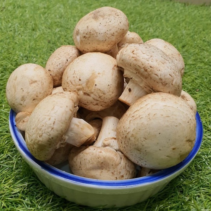 

JAMUR CHAMPIGNON FRESH (pack 250g)