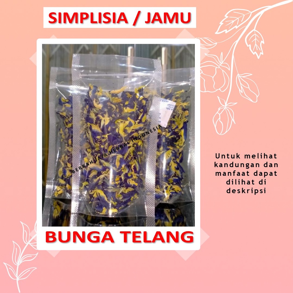 

Bunga Telang bahan Jamu godog rebus simplisia antioksidan penangkal radikal bebas