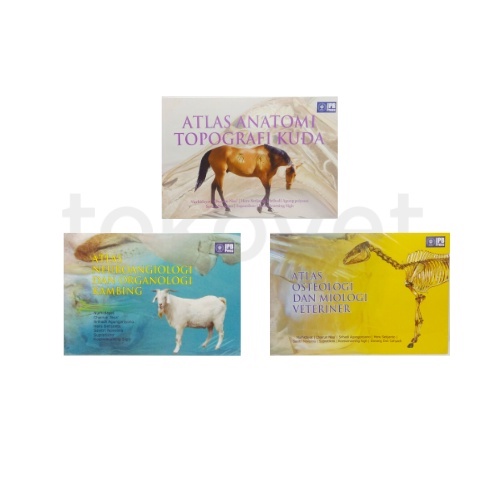 Atlas Anatomi Hewan/ Atlas Anatomi Veteriner