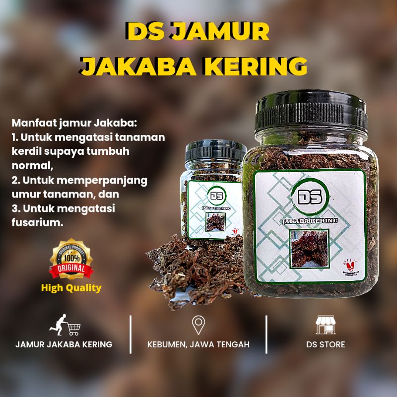 Jamur Jakaba Kering