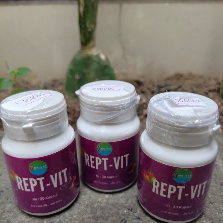 Rept vit eceran (Perkapsul) Mr Vet/Vitamin Torto Reptil penambah nafsu makan