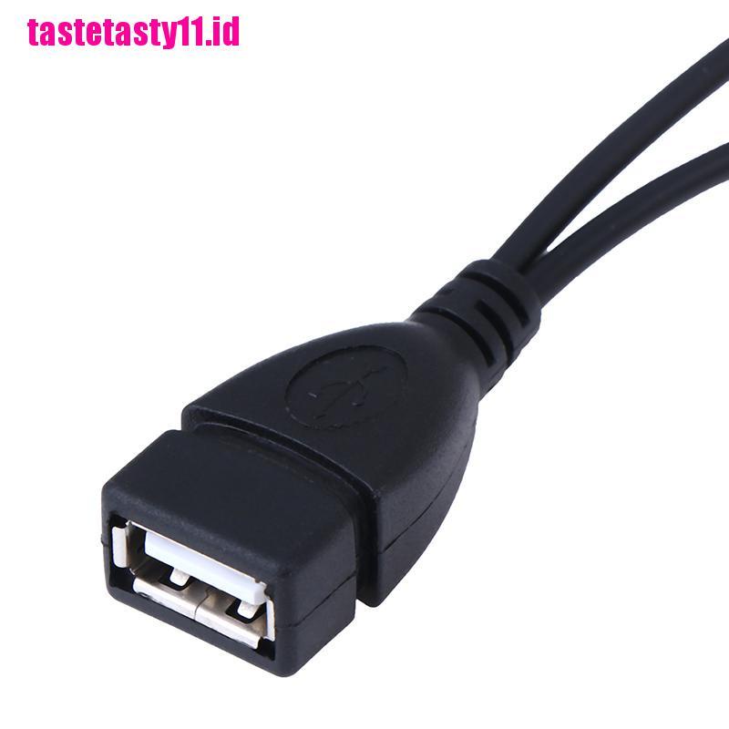 2 In 1 adapter power charging otg Micro usb male to female to usb 2.0