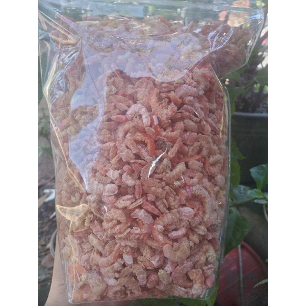 

udangkeringebi