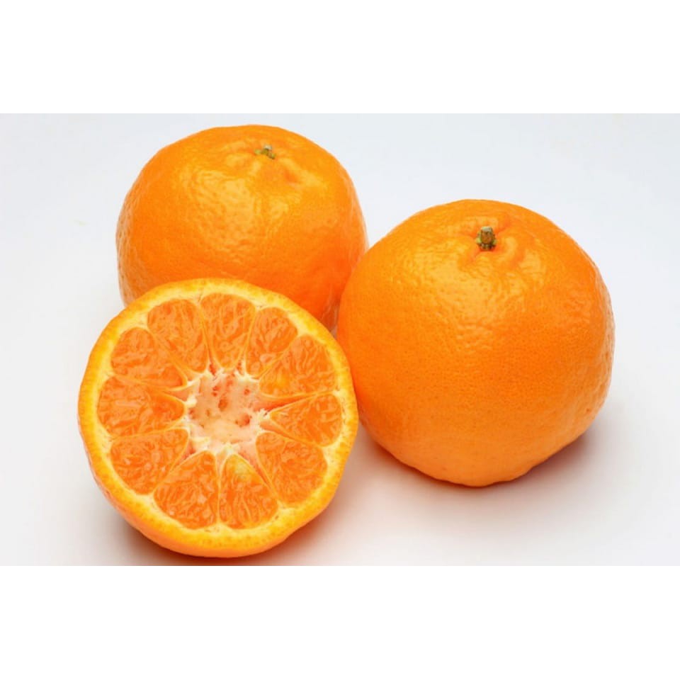 

JERUK KUPAS MANDARIN AUSTRALIA / SEGAR / AUSSIE / BANYAK AIR / MANIS per kg
