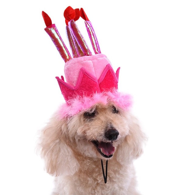 Pet birthday hat atau topi ulang tahun anjing atau kucing