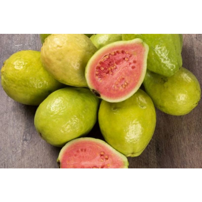 

jambu merah 1000gr Bangkok petik langsung pohon