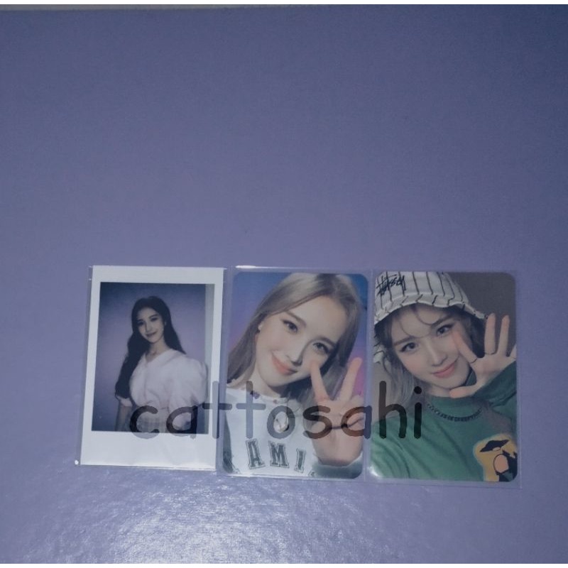 PHOTOCARD WEEEKLY JAEHEE TAROT UP JUMP POLAROID