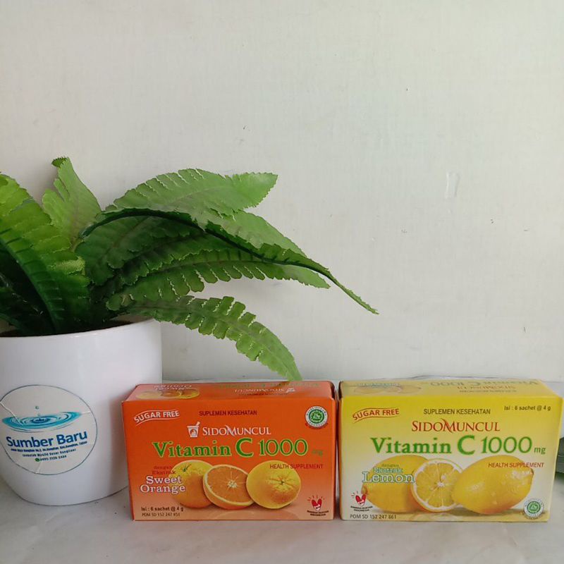 Jual VITAMIN C /VITAMIN C 1000 /SUPLEMEN KESEHATAN VITAMIN C | Shopee