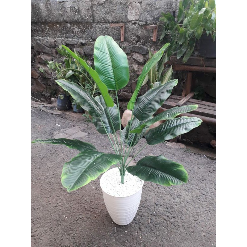 Tanaman Pohon Pisang- Pisangan / pohon pisang artificial