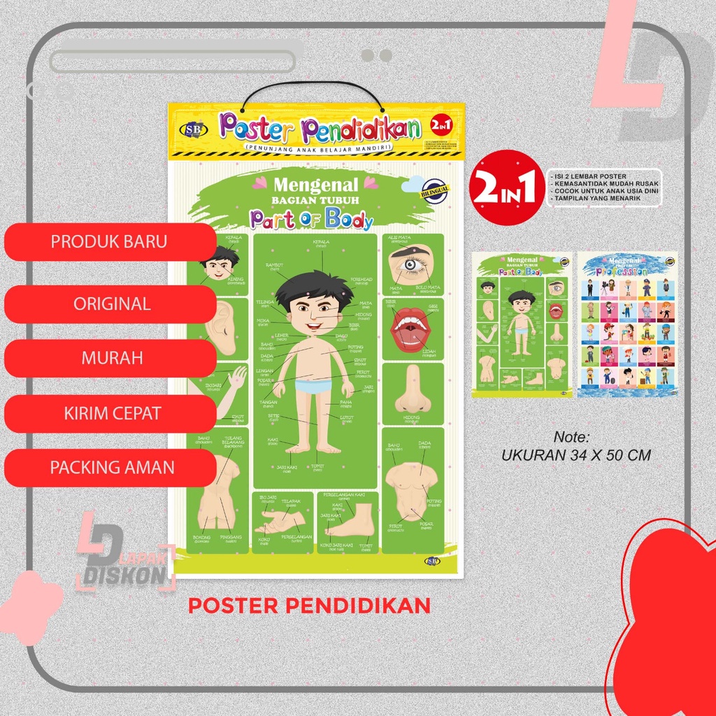 

POSTER EDUKASI 2 in 1 Mengenal Aggota Tubuh & Profesi Pekerjaan