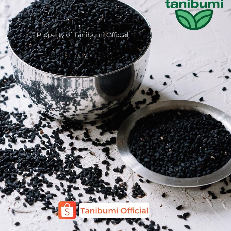 Biji Jintan Hitam | 1kg | Habbatussauda Jinten Premium | Kualitas Impor