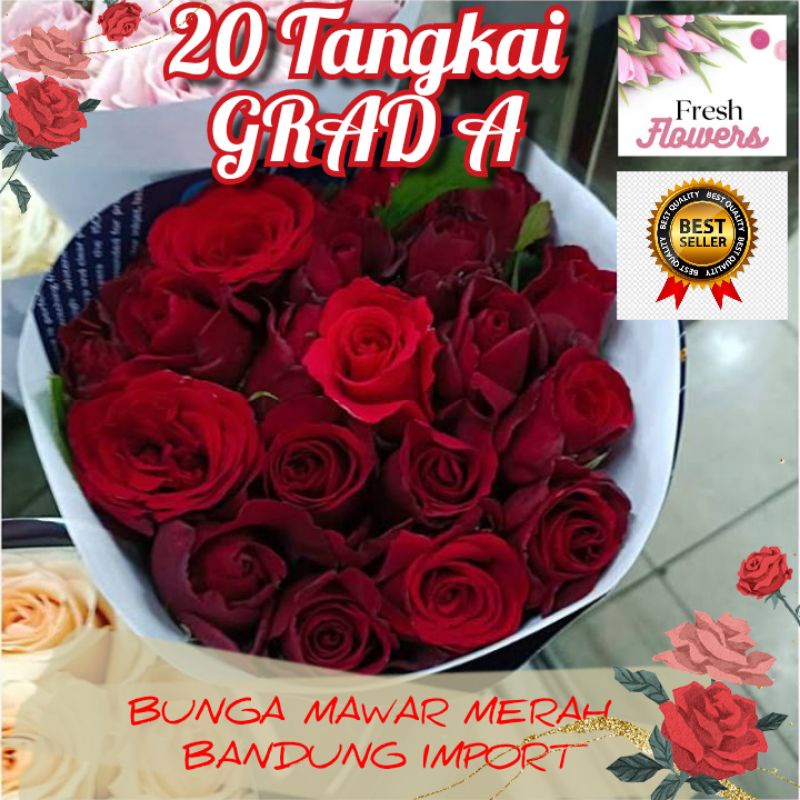 sexy red rose merah semi import bandung grad A 20 tangkai