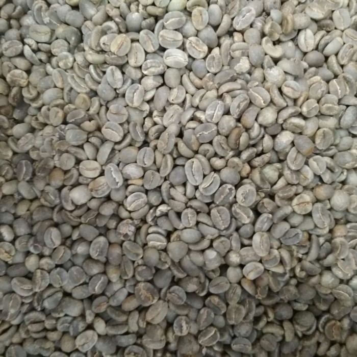 

NEW greenbean malabar fullwash