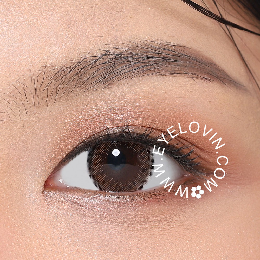 EYELOVIN Softlens Mite Clair - Wood Coral Hazel