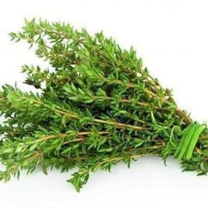 

THYME ORGANIK 50GR