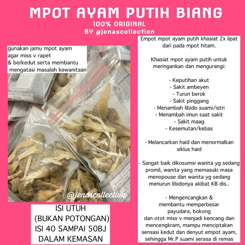 

MPOT AYAM PUTIH BIANG ORIGINAL BY JENASCOLLECTION