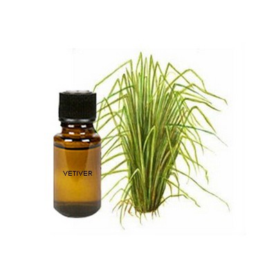 Vetiver Essential Oil Minyak Atsiri Akar Wangi 100% Murni Vetiveria zizanioide