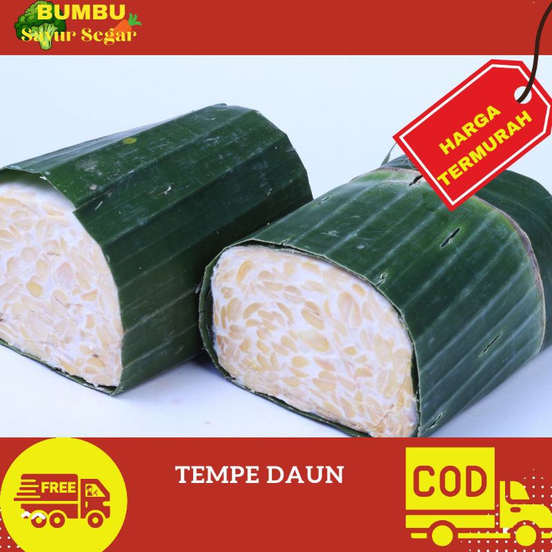 

TEMPE DAUN