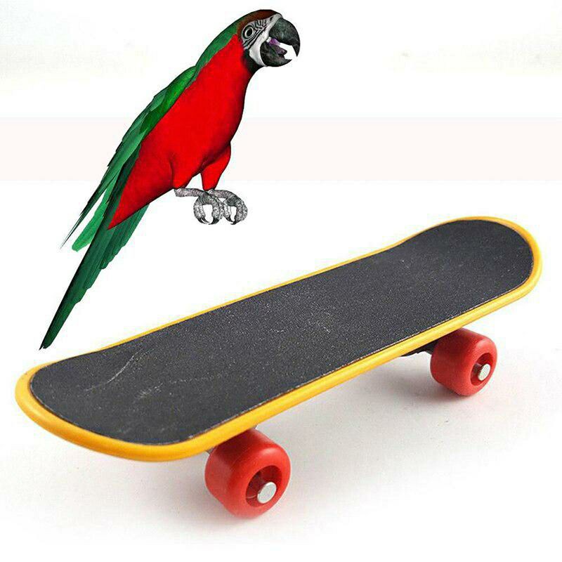 Mainan burung skateboard mini beo/parkit/kakatua