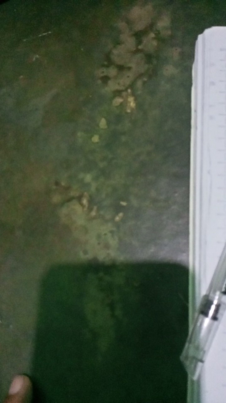 Atasan Kemeja Batik Pria Lengan Panjang Premium Hanangkara Emas Colet Full Furing Rajasakti Solo Ori