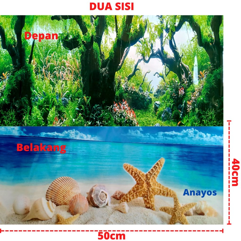 Wallpaper Background Aquarium Tinggi 40 Cm Panjang 50 Cm Motif 11