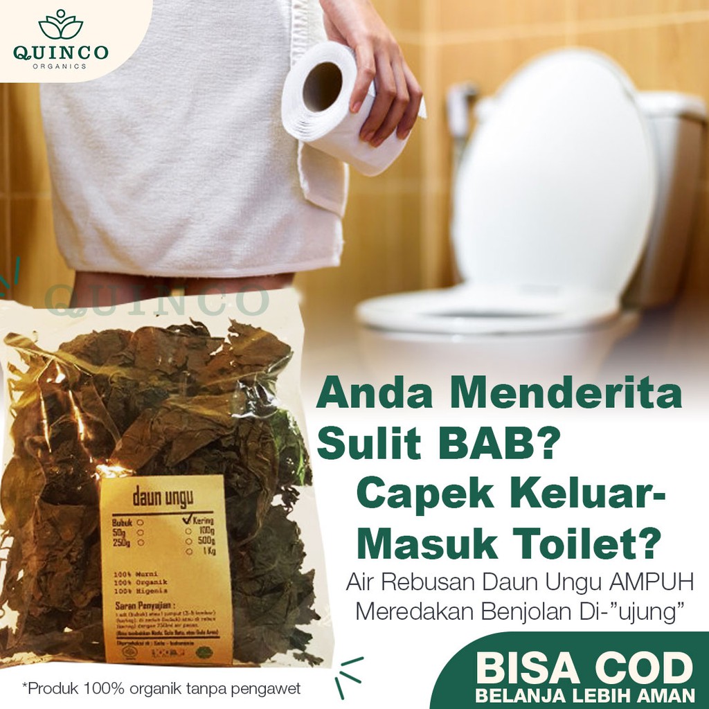 

Rempah Daun Ungu Kering Asli 100gr Suplemen Organik Obat Herbal Keputihan & Lancar Haid Organik R153