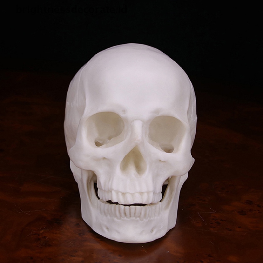 Model Tengkorak Manusia Bahan Resin Warna Putih 1: 1 Untuk Dekorasi Halloween