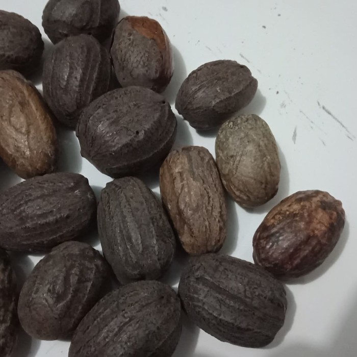 

Buah Pala Super Kering 1kg / Organik / Superfood / Foodgrade / Multivitamin