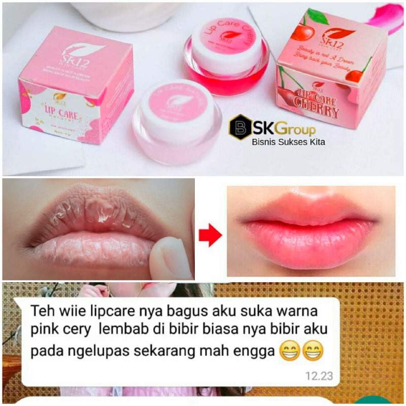 LIP CARE SR12 HERBAL BPOM ATASI BIBIR KERING / PECAH / HITAM / CREAM