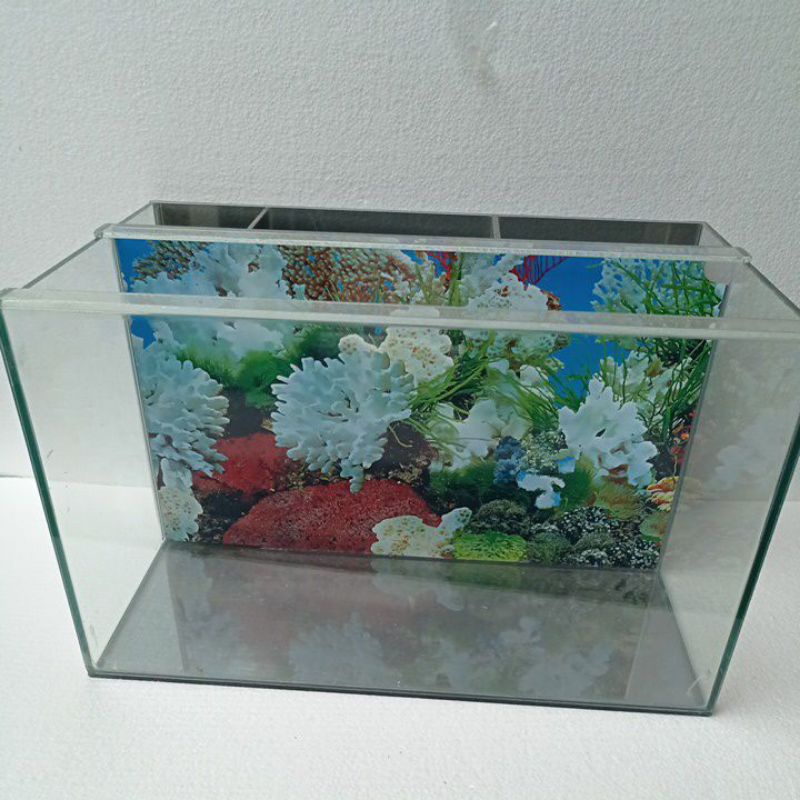 Aquarium 50x30x30 filter belakang