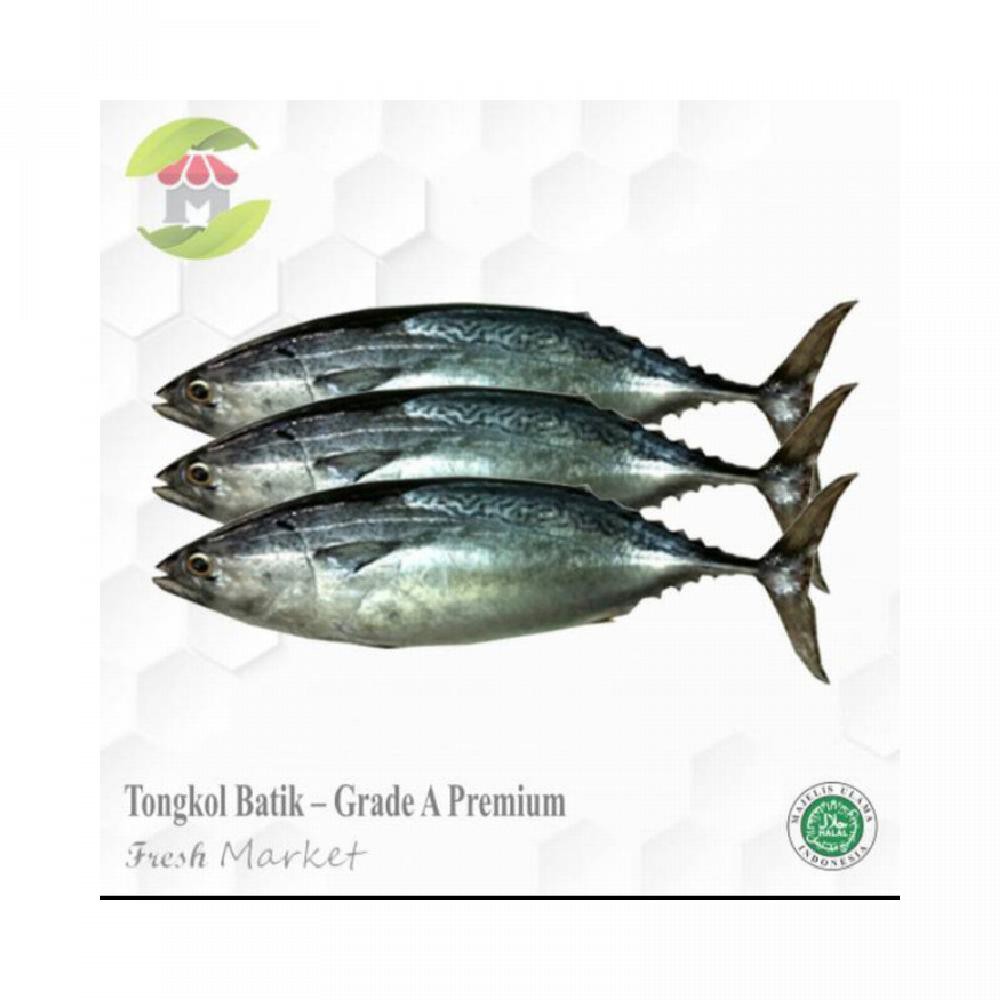

Ikan Tongkol Batik Size 1 kg Up Kualitas Premium