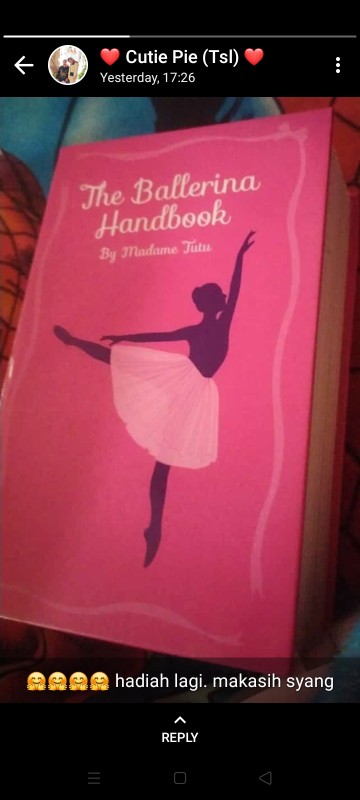 Kotak Brankas Model Buku Sesuai Gambar Pink Ada Password 180 X 115 X 55 Mm Bahan Besi Kotak Rahasia