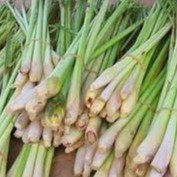 

Sereh sayur/sereh penyedap masakan 1 kg