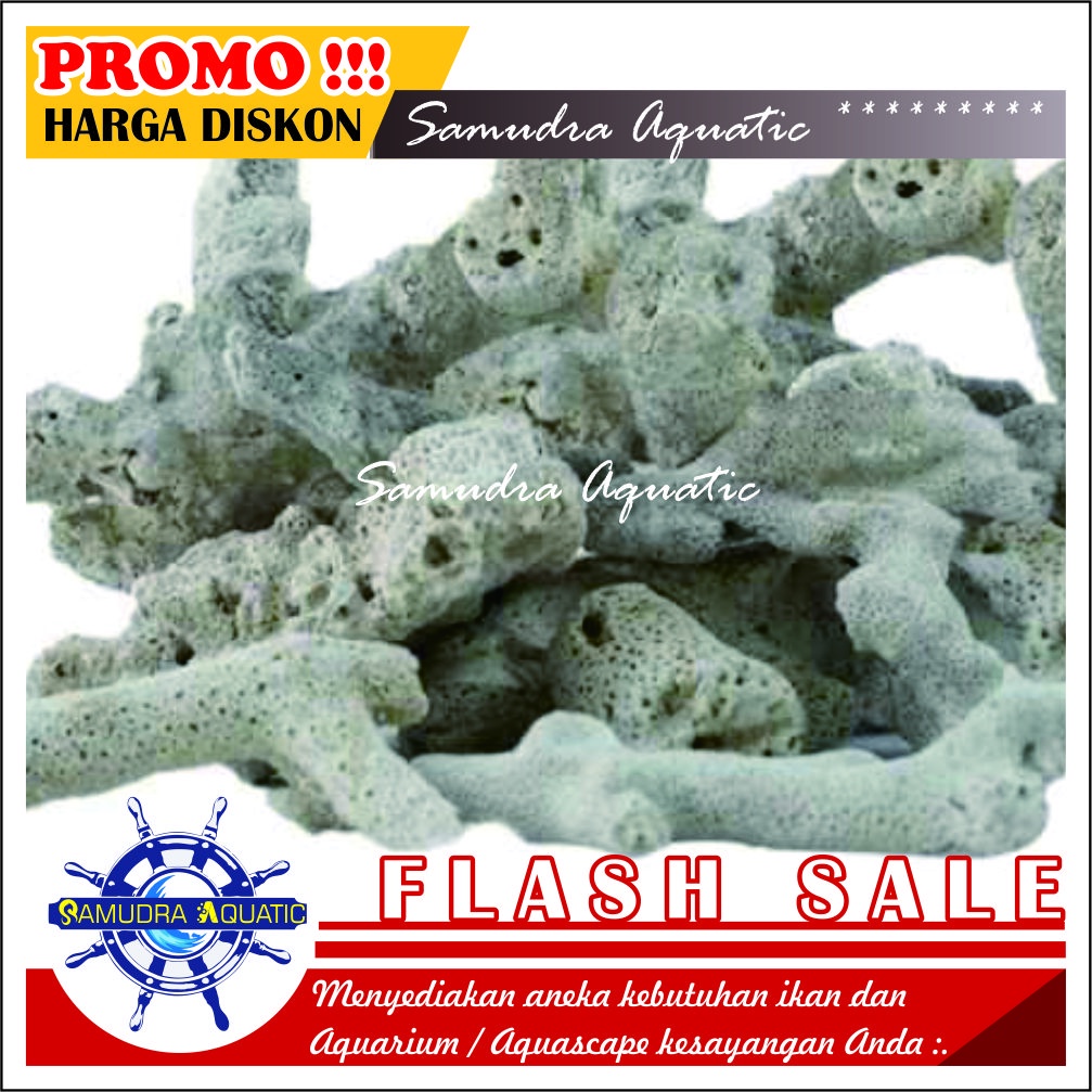 KARANG JAHE (1 kg), Batu Karang Jahe Media Filter Aquarium Aquascape, Media Filter Kolam