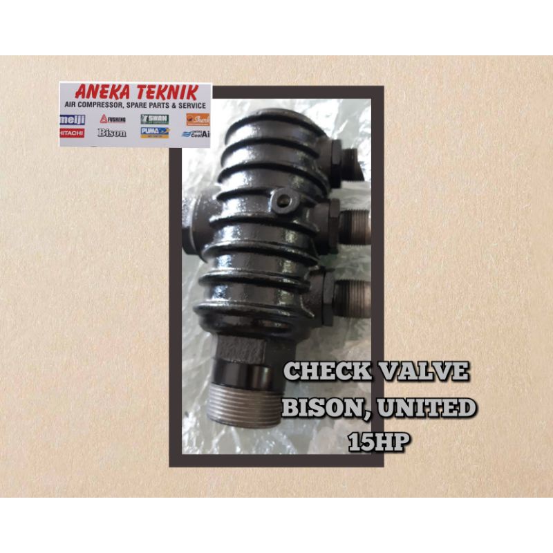 CHECK VALVE BISON & UNITED 15HP