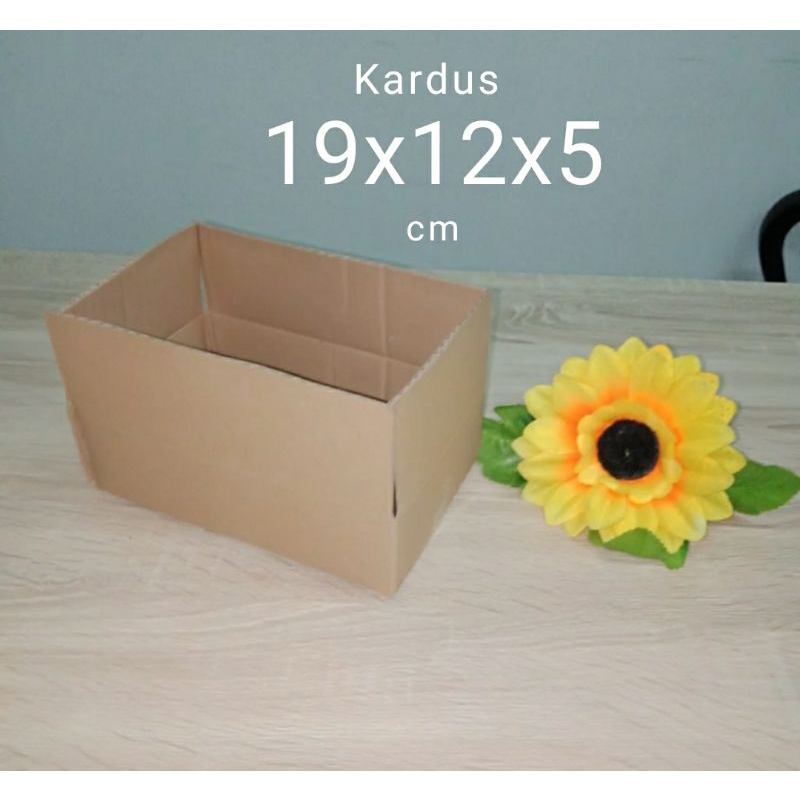 

Termurah kardus packing Uk 19x12x10 cm