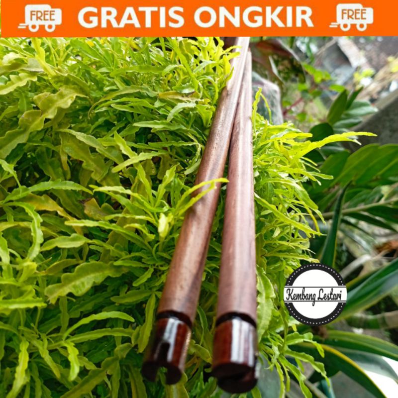 TANGKRINGAN LOVEBIRD SONOKELING PREMIUM 2 PCS