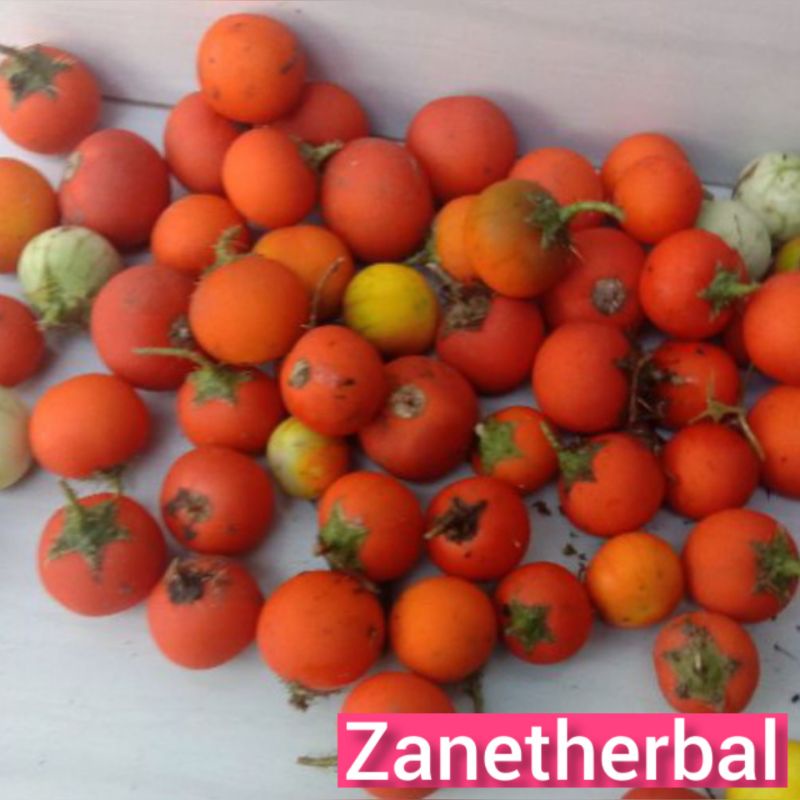 

Terong esrot/terong duri per 300 grm