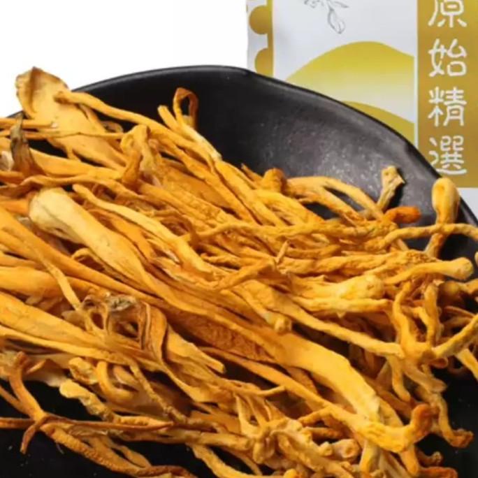 

Big Sale JAMUR CHONG CAO HUA( JAMUR CORDYCEPS FLOWER/) 50gr Big Sale