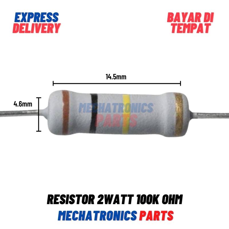 [PAS-9198] RESISTOR 2WATT 100K